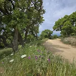 Appartamento La Croix-valmer, Le Vergeron Rez De Jardin
