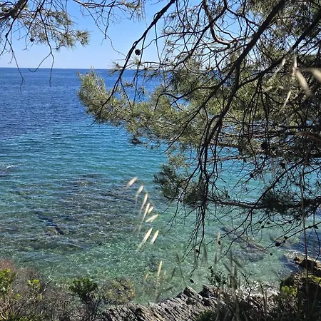 La Croix-valmer, Le Vergeron Rez De Jardin Apartman La Croix-Valmer